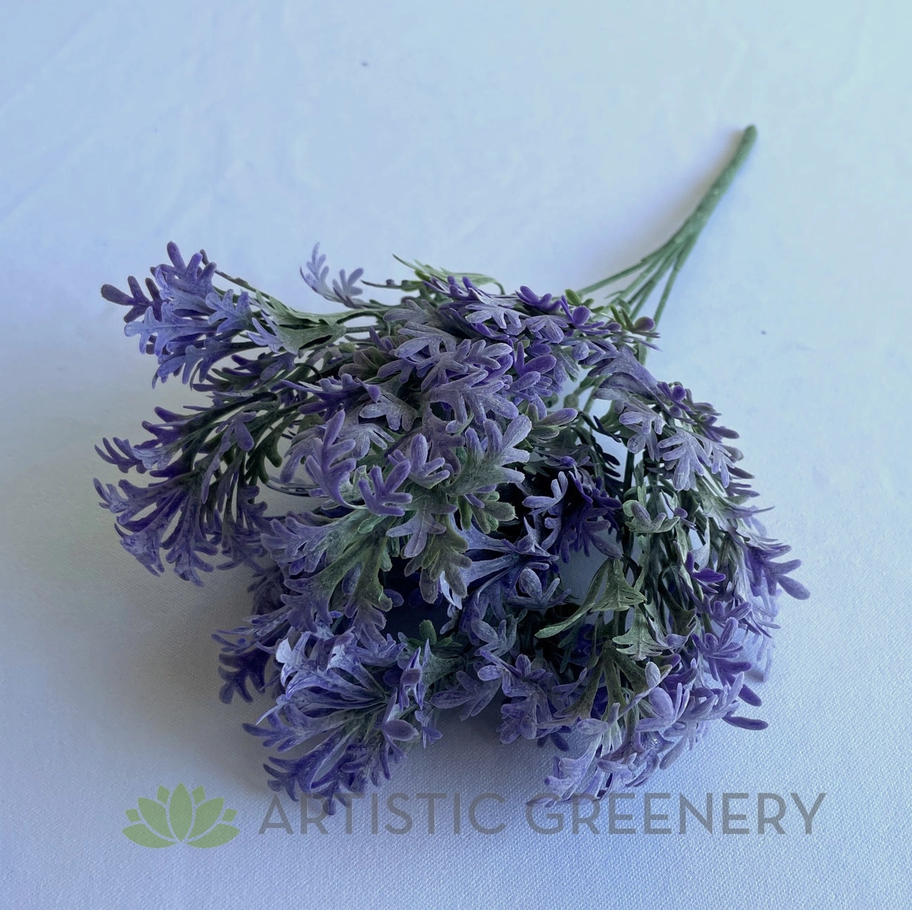 SP0200 Dusty Miller Plant 30cm Purple