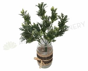 SP0200 Dusty Miller Plant 32cm 2 Styles xl flower pot  