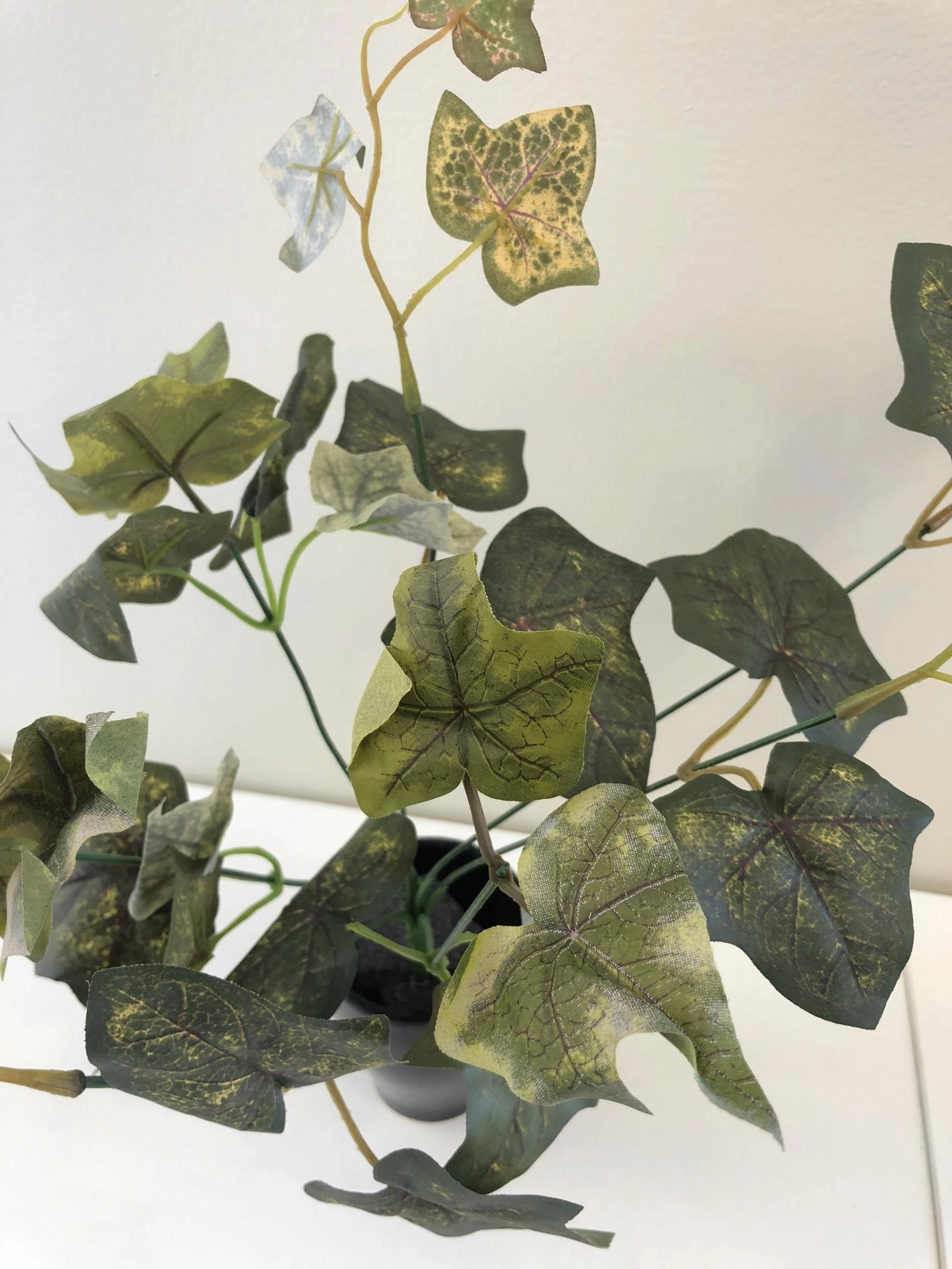 SP0201 Autumn Style Ivy Bunch 38cm 2 Styles