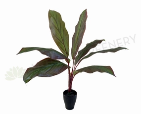 SP0204 Red Cast Iron Plant / Aspidistra 60cm Real Touch (SPECIAL) xl flower pot  