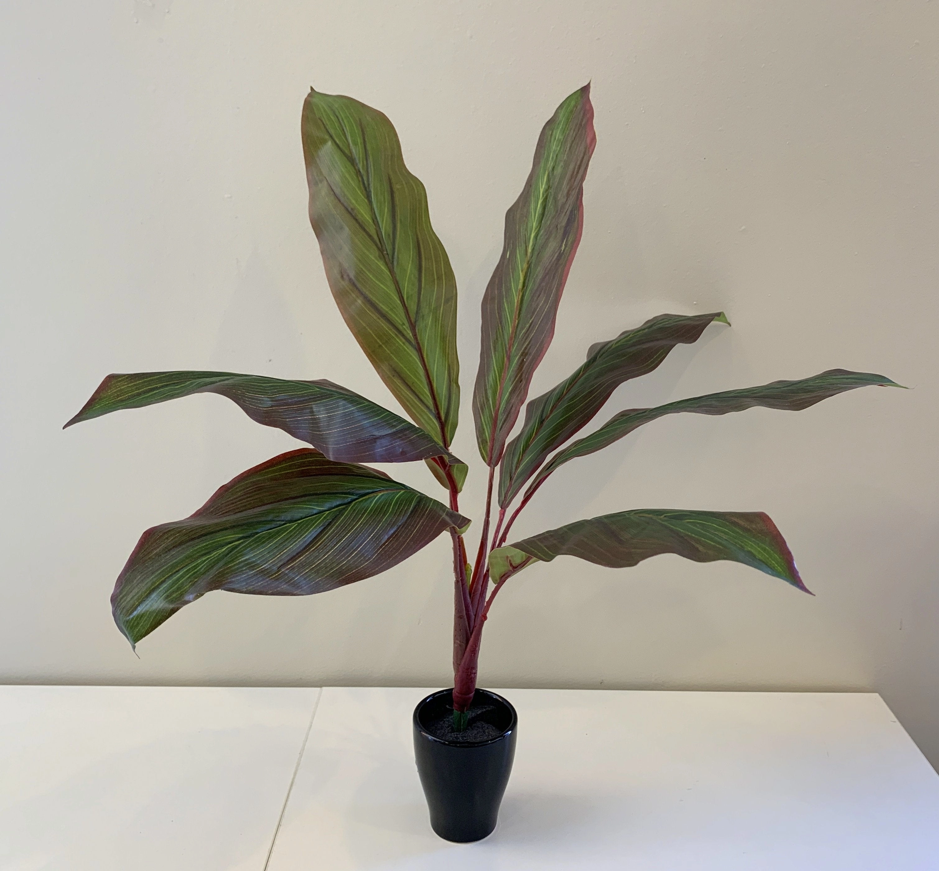 SP0204 Red Cast Iron Plant / Aspidistra 60cm Real Touch (SPECIAL)
