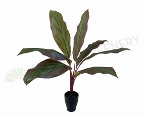 SP0204 Red Cast Iron Plant / Aspidistra 60cm Real Touch (SPECIAL) indoor plant stand  