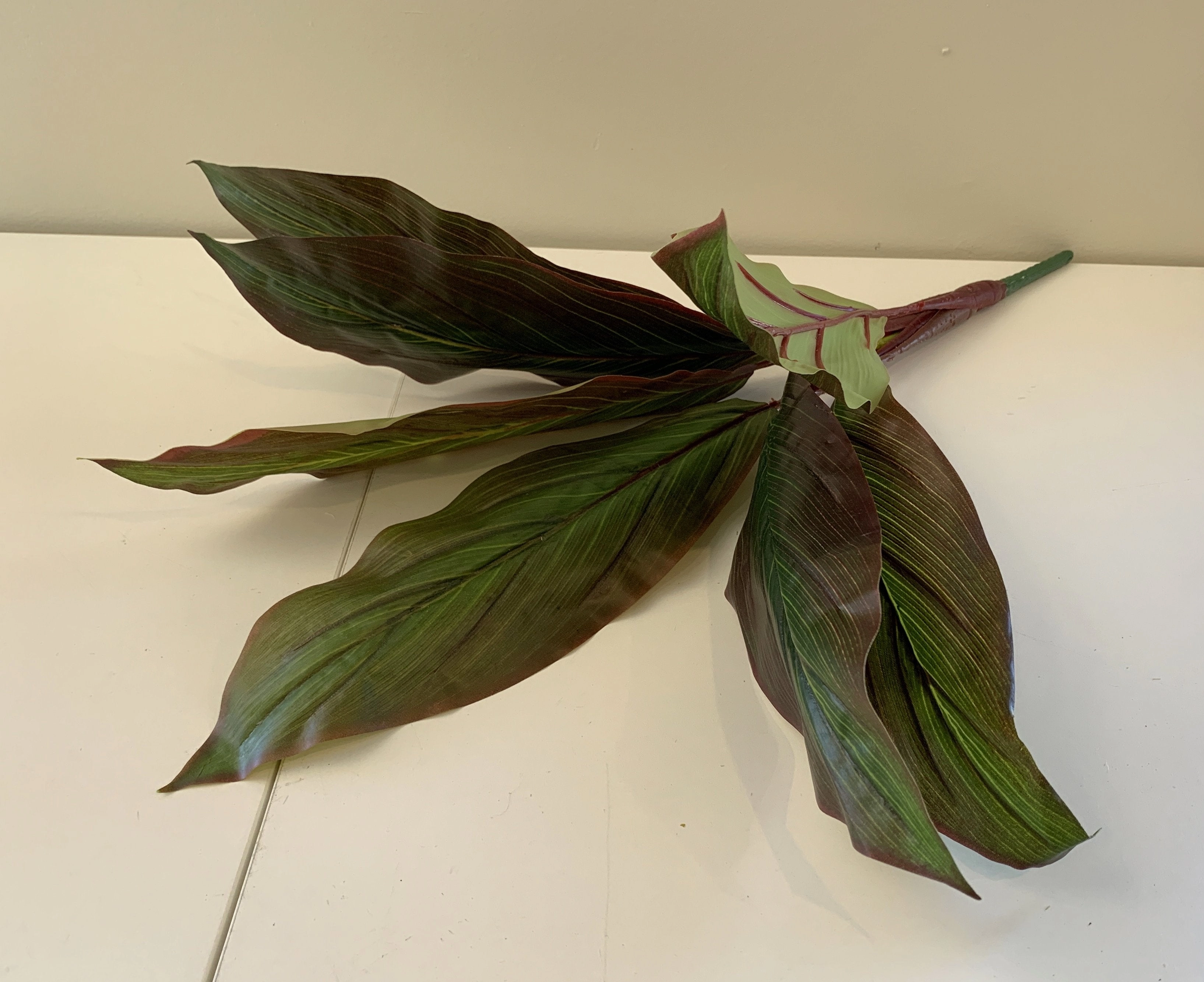 SP0204 Red Cast Iron Plant / Aspidistra 60cm Real Touch (SPECIAL)