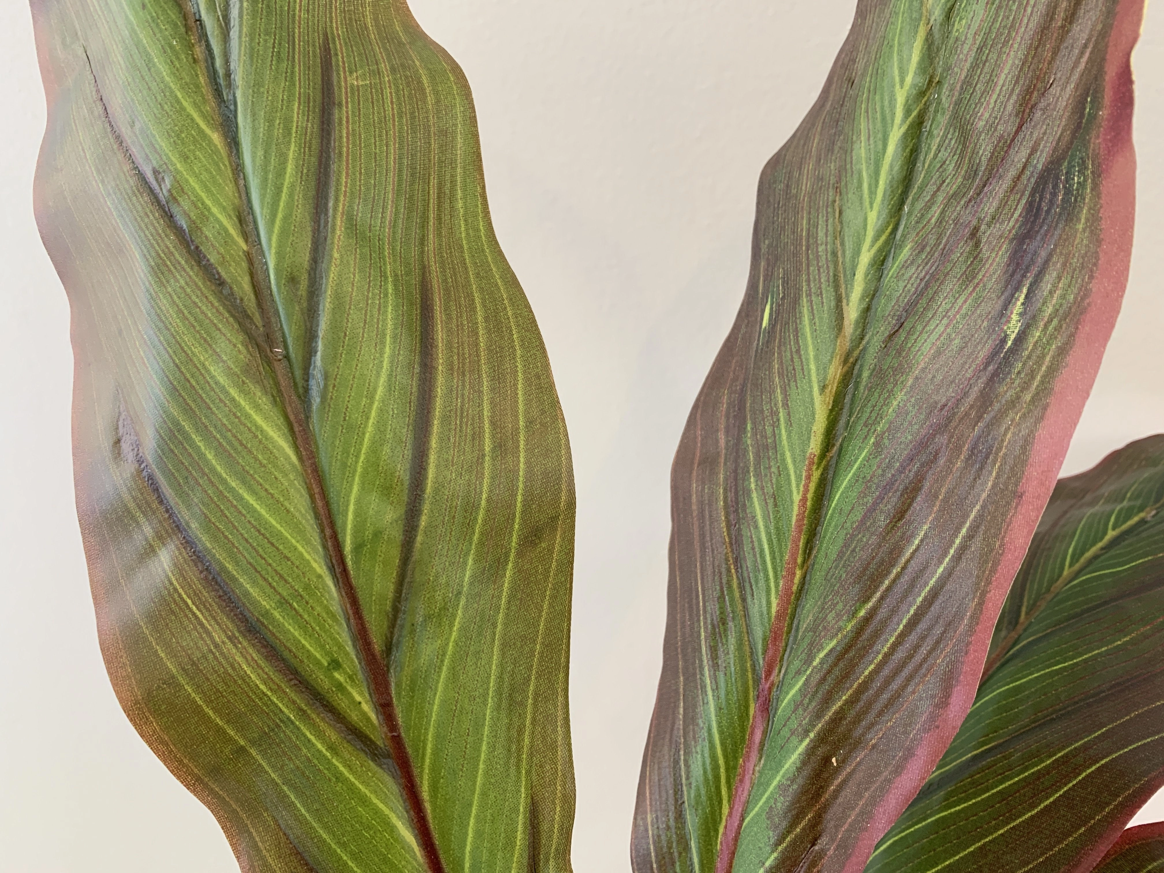 SP0204 Red Cast Iron Plant / Aspidistra 60cm Real Touch (SPECIAL)