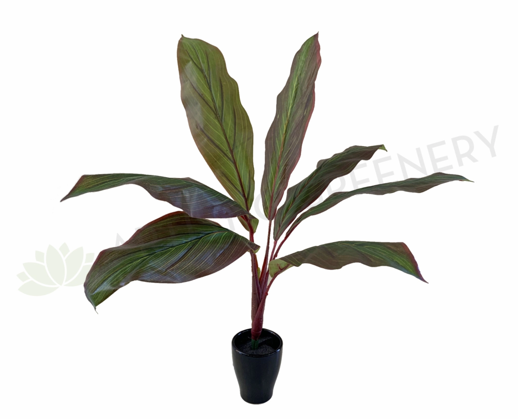 SP0204 Red Cast Iron Plant / Aspidistra 60cm Real Touch (SPECIAL) xl flower pot  