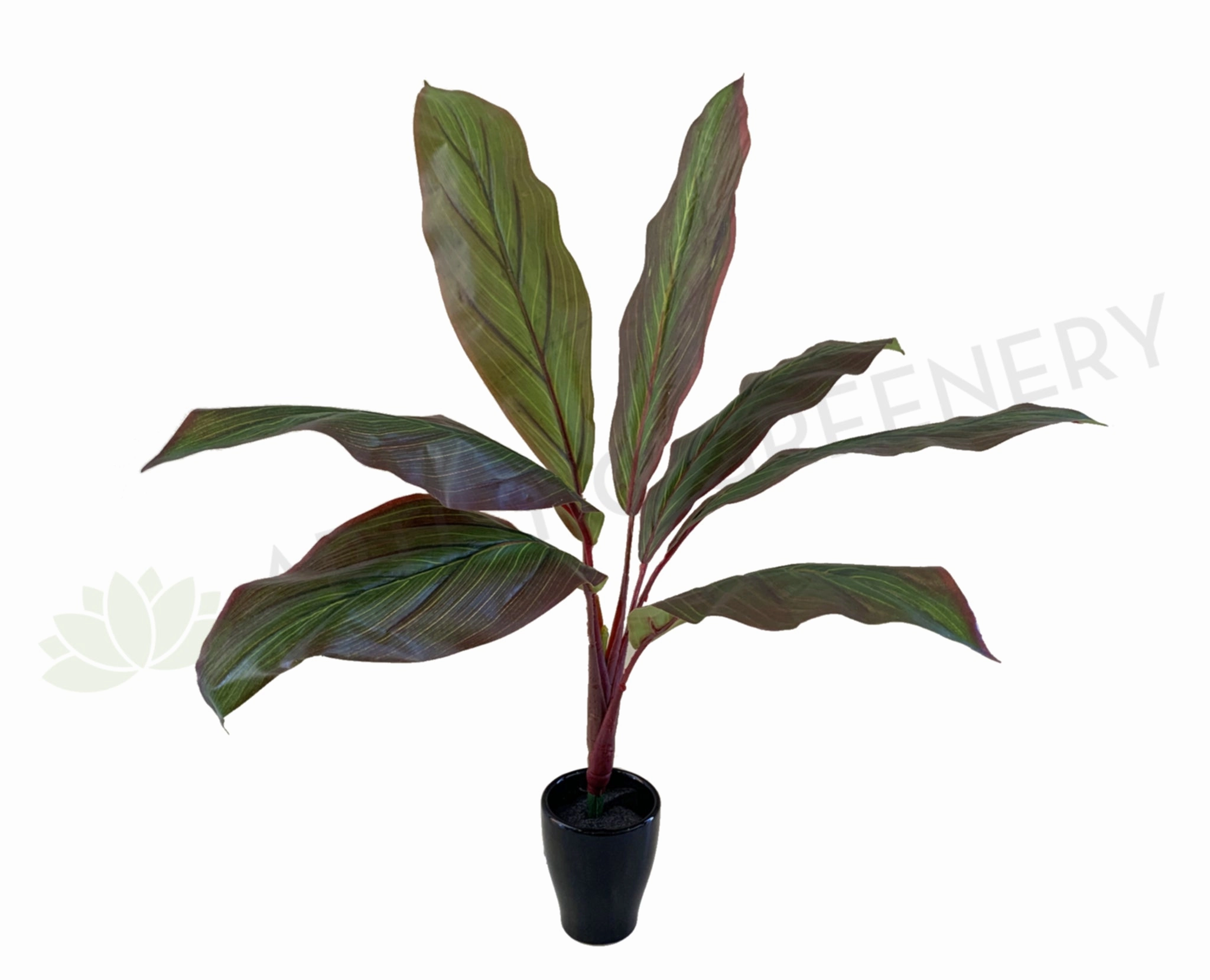 SP0204 Red Cast Iron Plant / Aspidistra 60cm Real Touch (SPECIAL) indoor plant stand  