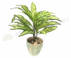 SP0209 Calathea Plant 68cm Real Touch indoor plant stand  