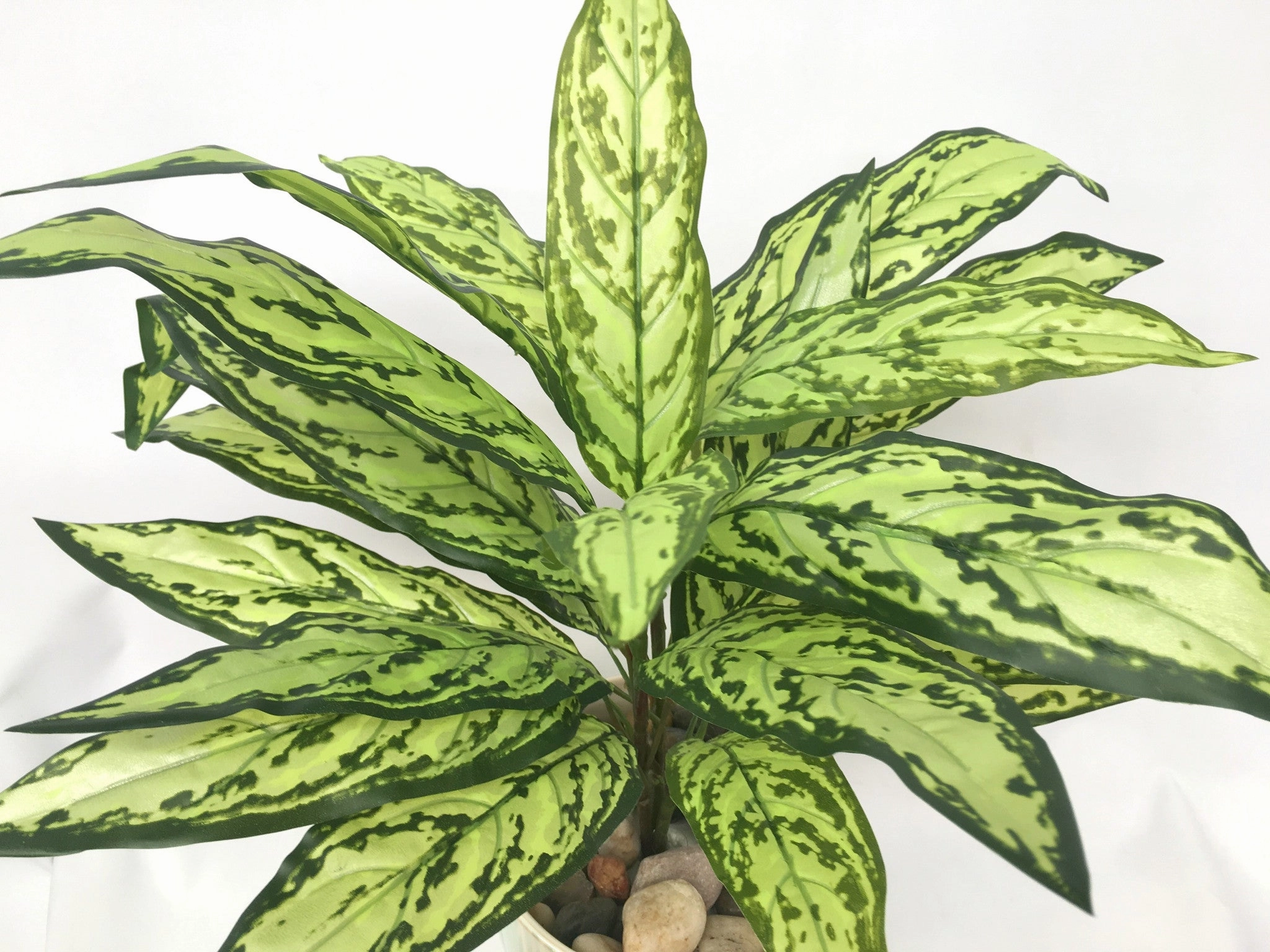 SP0209 Calathea Plant 68cm Real Touch