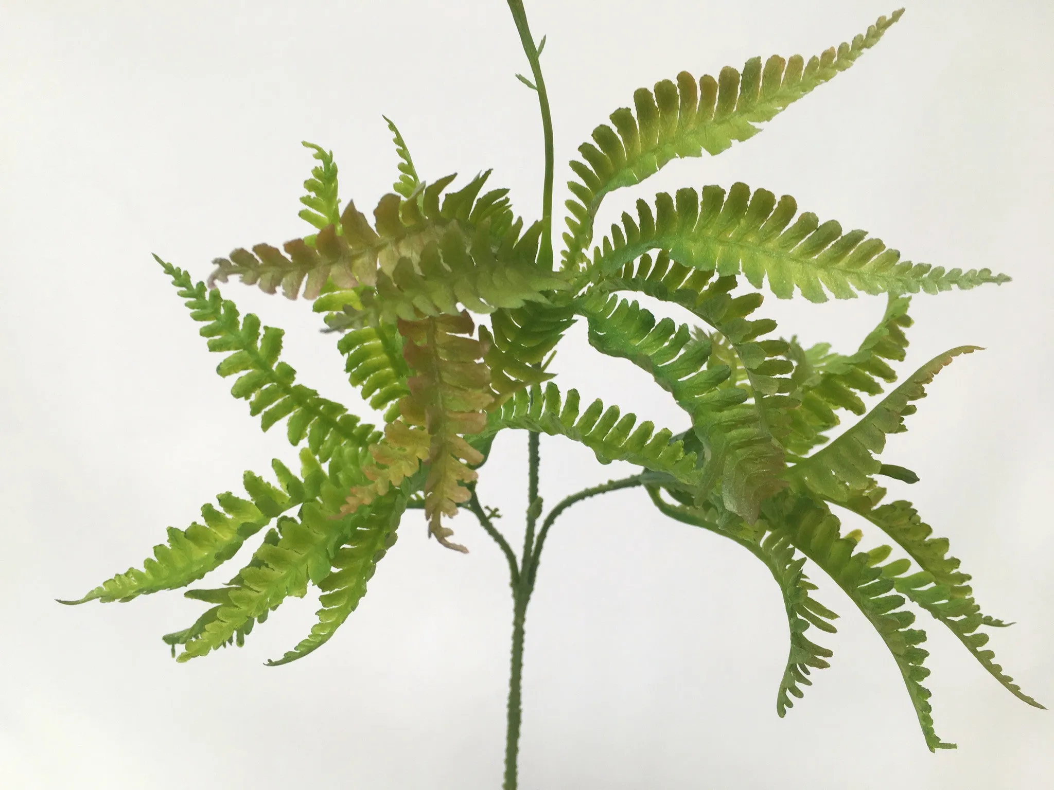 SP0215 Small Fern Pick 46cm Green