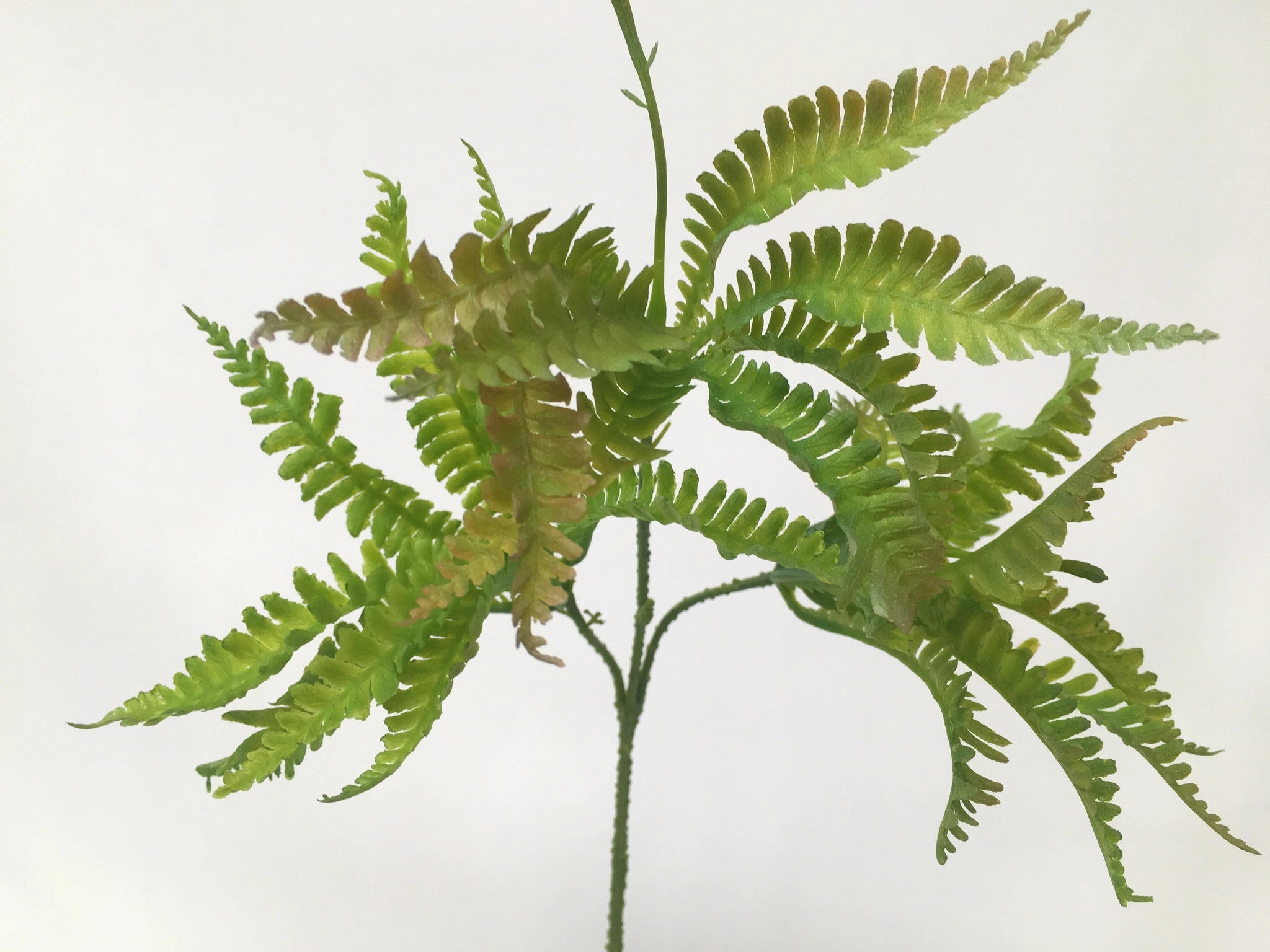 SP0215 Small Fern Pick 46cm Green