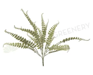 SP0216 Fern Bunch 45cm dried green plant  