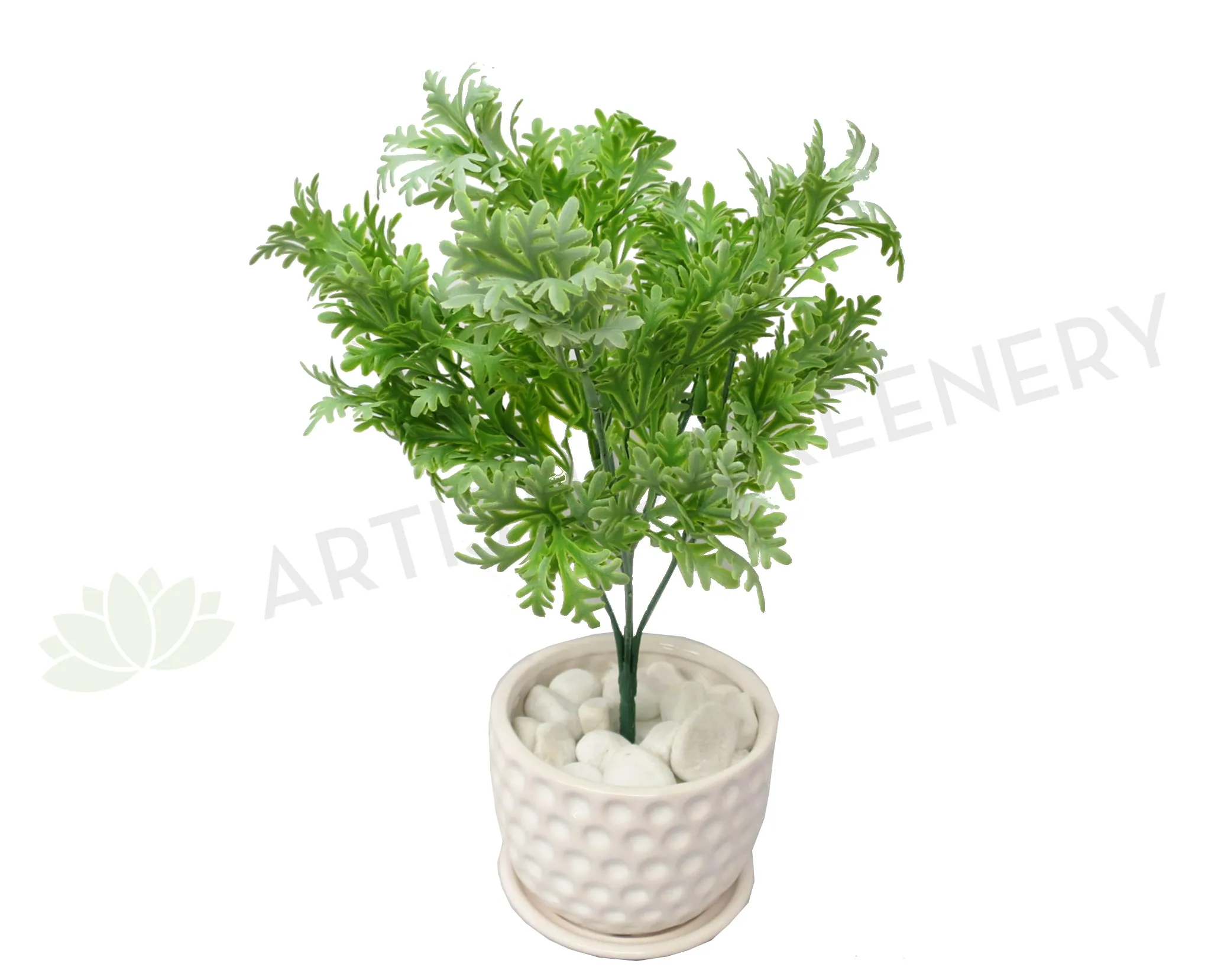 SP0220 Dusty Miller Plant 32cm dried green plant  