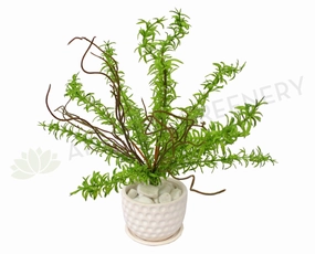 SP0221 Rosemary Bunch 36cm Green indoor plant stand  