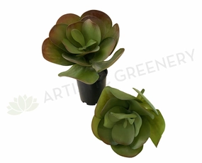 SP0222 Giant Flapjacks Succulent 31cm 2 Styles mini ornamental plant  