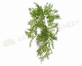 SP0225 Hanging Rosemary 50cm Green xl flower pot  
