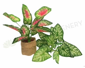 SP0233 Caladium / Syngonium Plant 38cm 2 styles indoor plant stand  