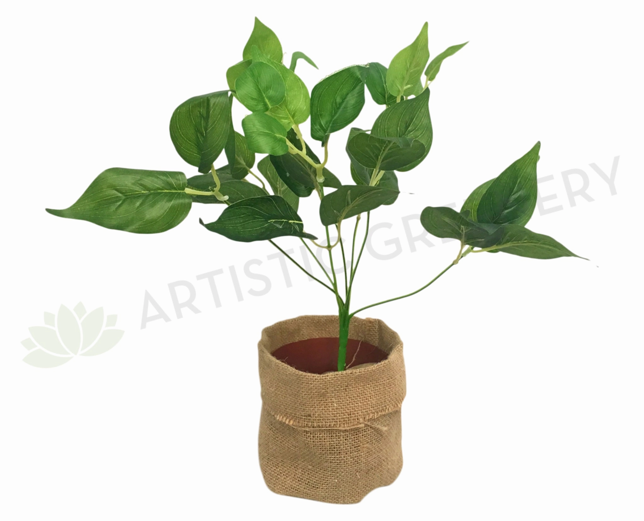 SP0234 Jade Pothos Plant 35cm Green xl flower pot  