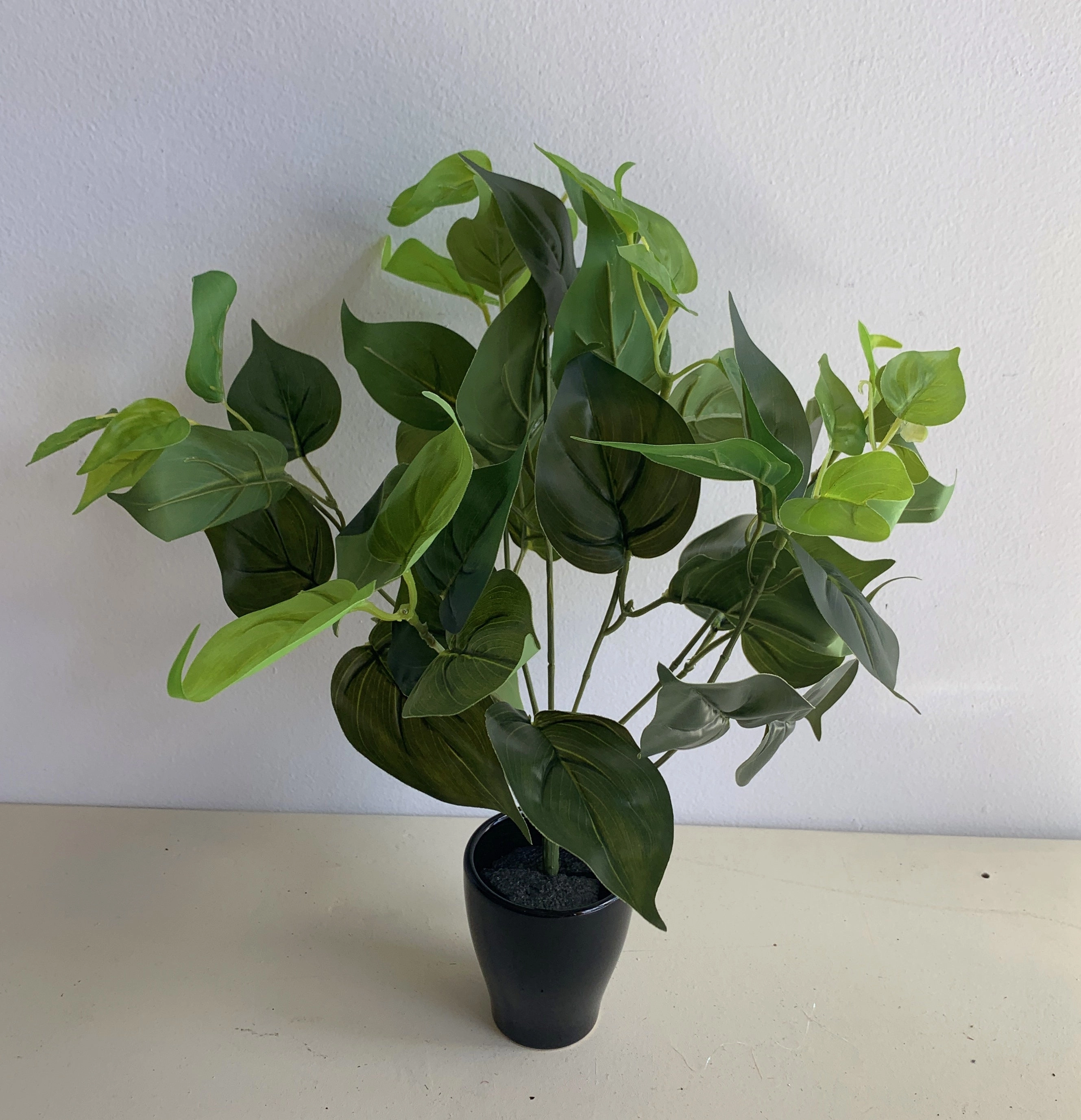 SP0234L Jade Pothos Plant 37cm Green (Larger Foliage)