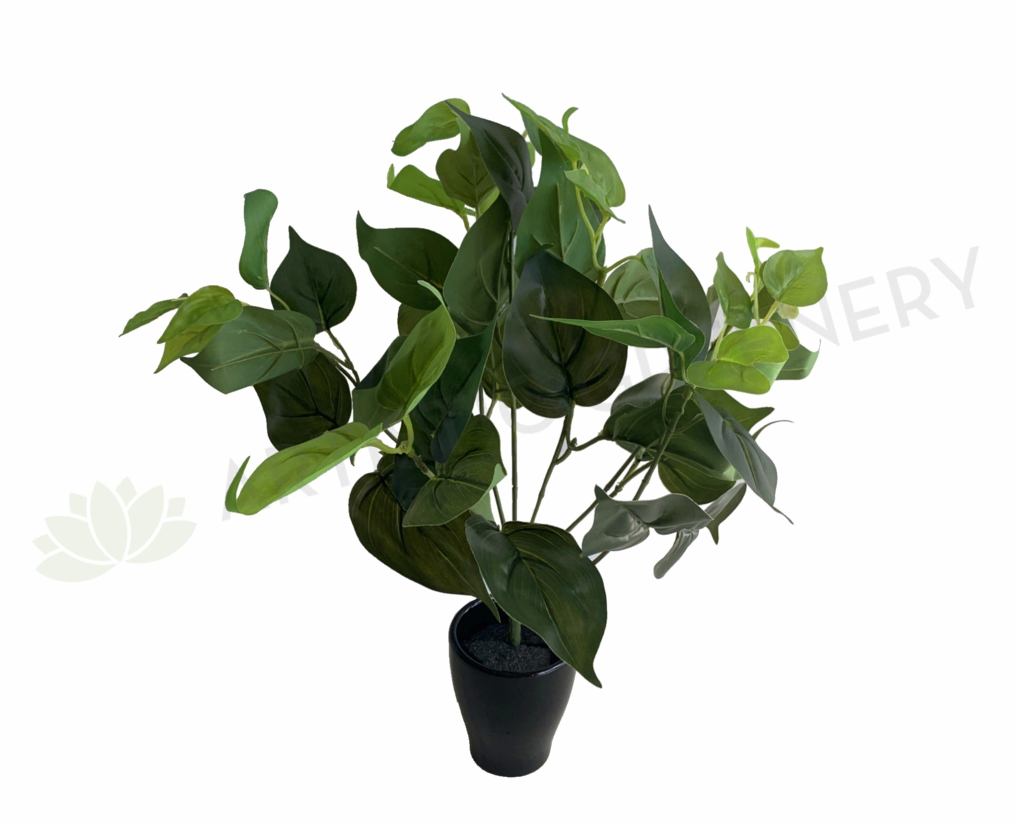 SP0234L Jade Pothos Plant 37cm Green (Larger Foliage) indoor plant stand  