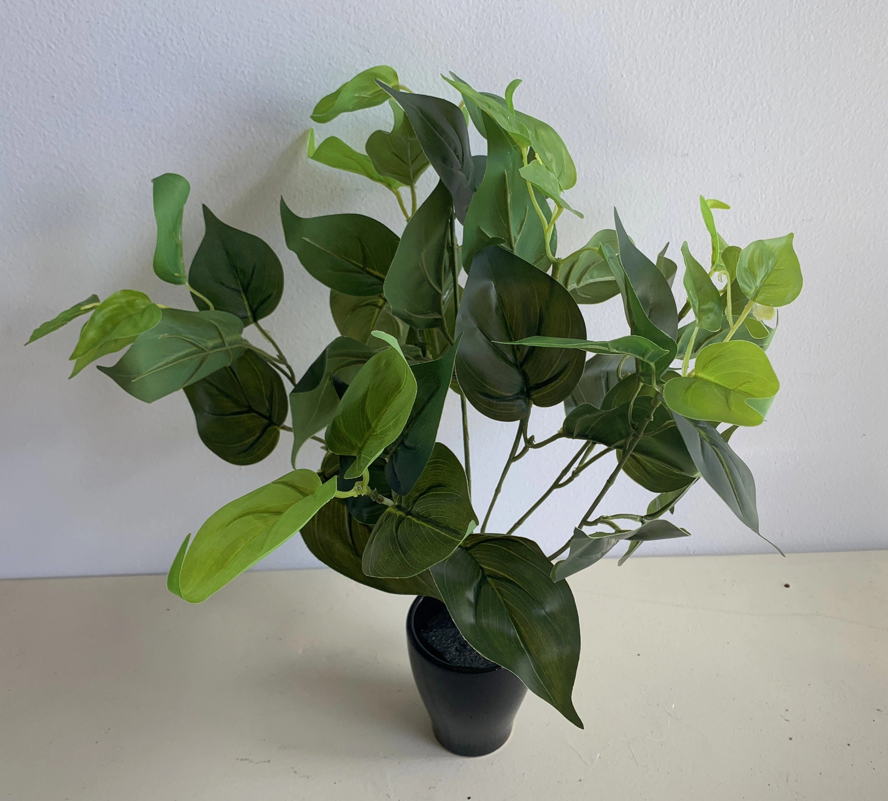 SP0234L Jade Pothos Plant 37cm Green (Larger Foliage)