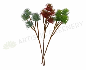SP0245 Narrow-leaf Chalk Sticks (Senecio cylindricus) / Air Plant 70cm 3 Styles mini ornamental plant  