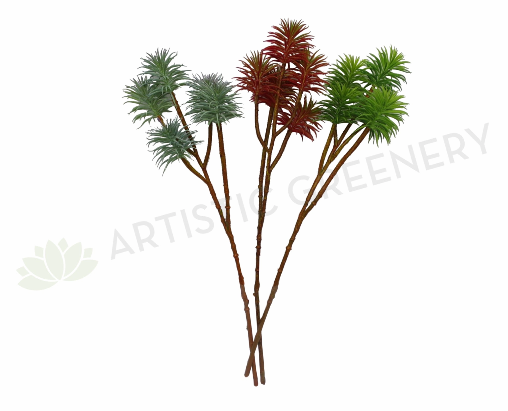 SP0245 Narrow-leaf Chalk Sticks (Senecio cylindricus) / Air Plant 70cm 3 Styles mini ornamental plant  