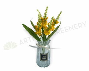 SP0252 Snapdragon Bunch 31cm Yellow indoor houseplants  