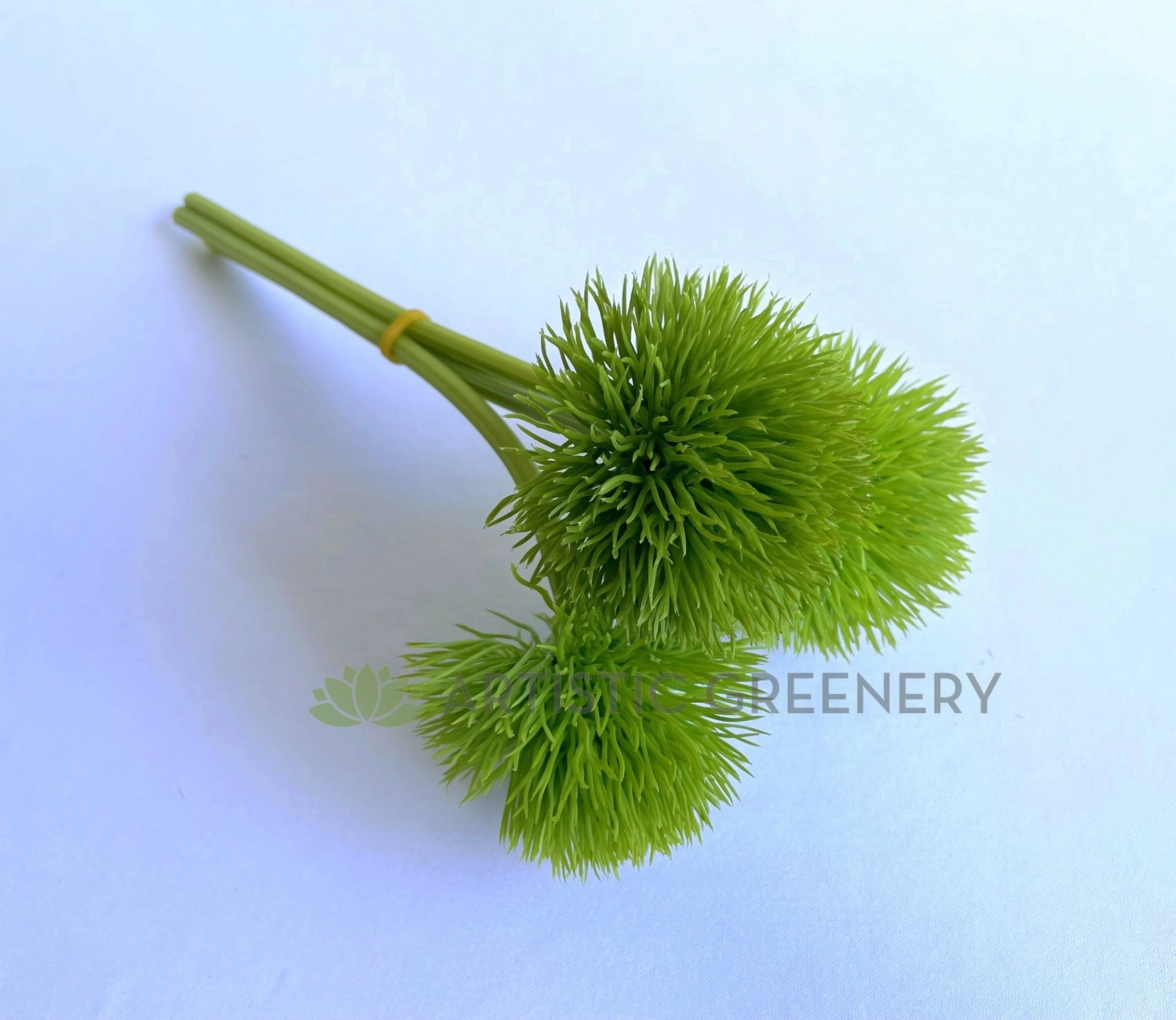 SP0253S Green Trick Dianthus 28cm Green