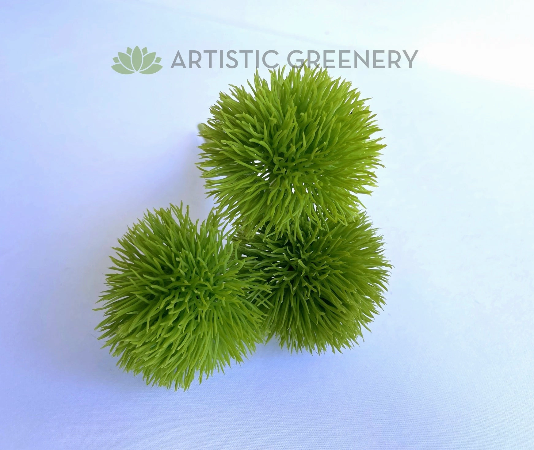 SP0253S Green Trick Dianthus 28cm Green