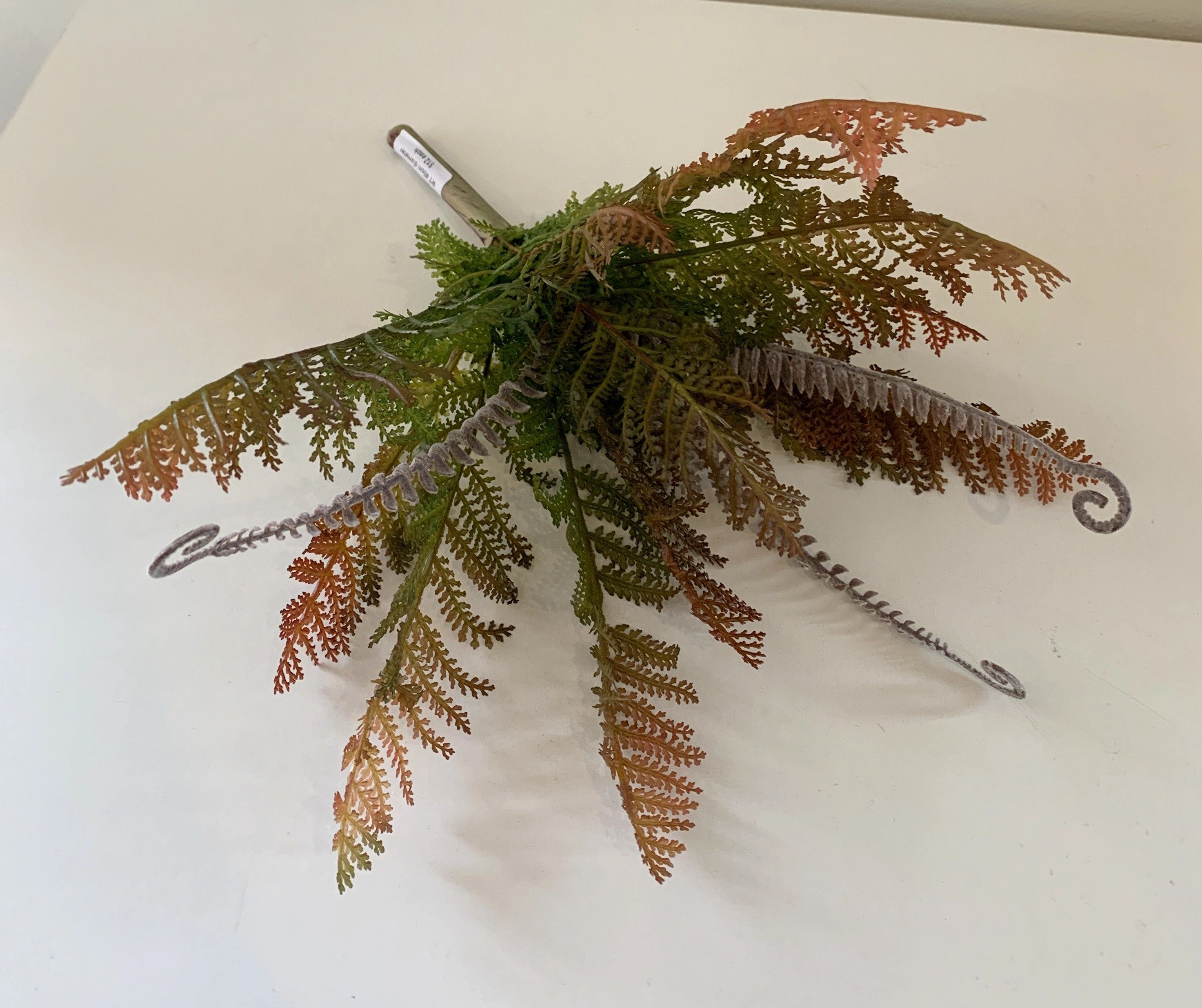 SP0259 Fern with Fronds 34cm 2 Styles