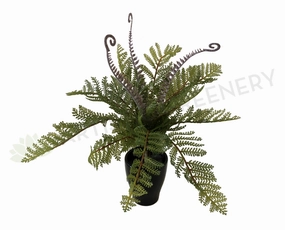 SP0259 Fern with Fronds 34cm 2 Styles xl flower pot  