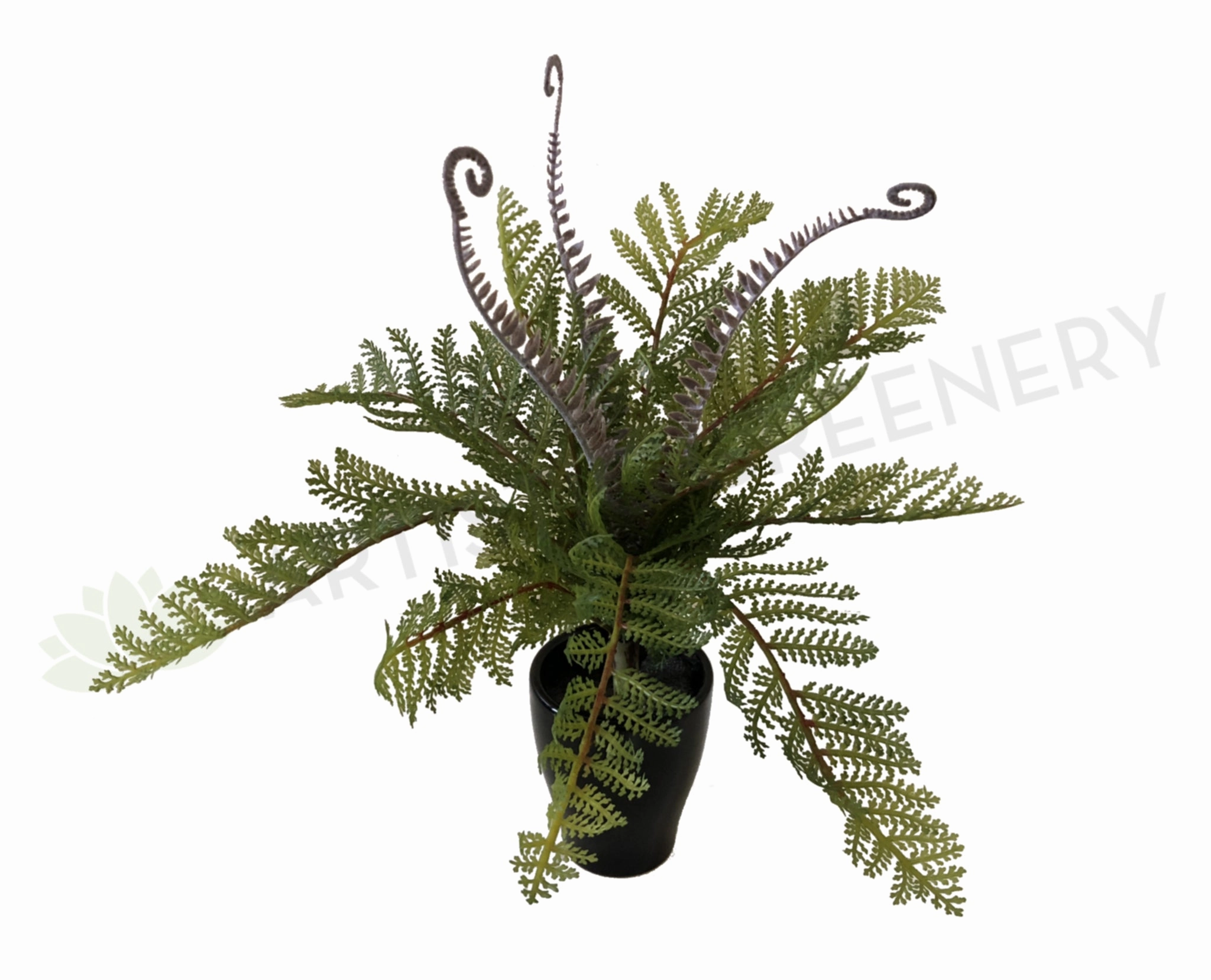 SP0259 Fern with Fronds 34cm 2 Styles xl flower pot  