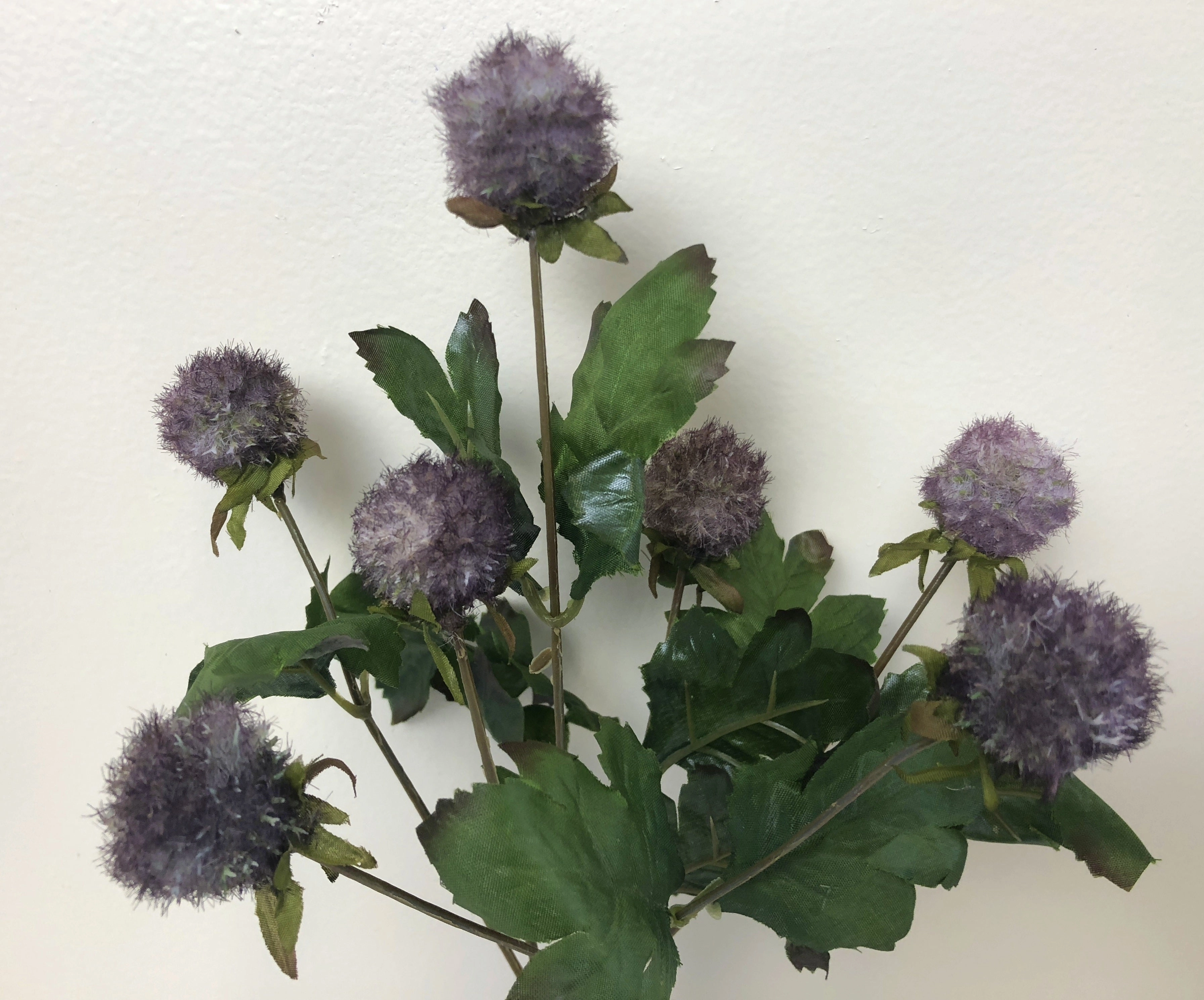 SP0260 Echinops Bunch 35cm Purple