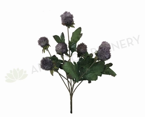 SP0260 Echinops Bunch 35cm Purple indoor houseplants  