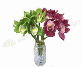SP0261 Cymbidium Orchid Bunch 34cm Light Green / Plum indoor houseplants  
