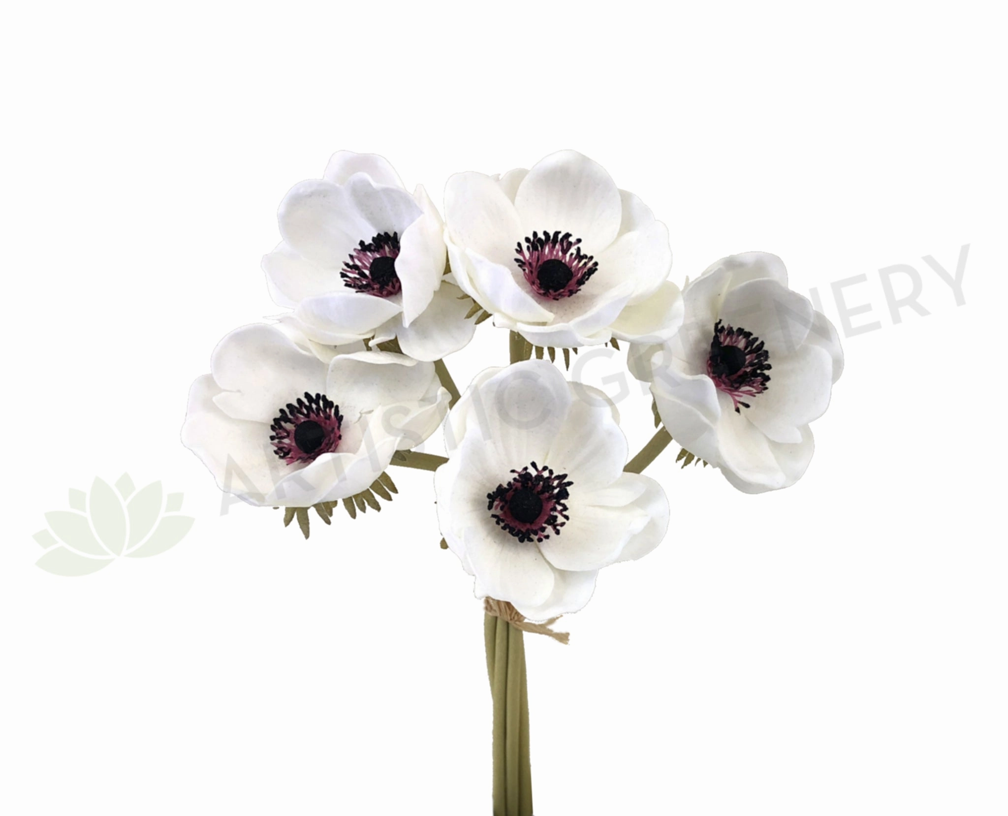 SP0262 Anemone Bunch 32cm White indoor houseplants  