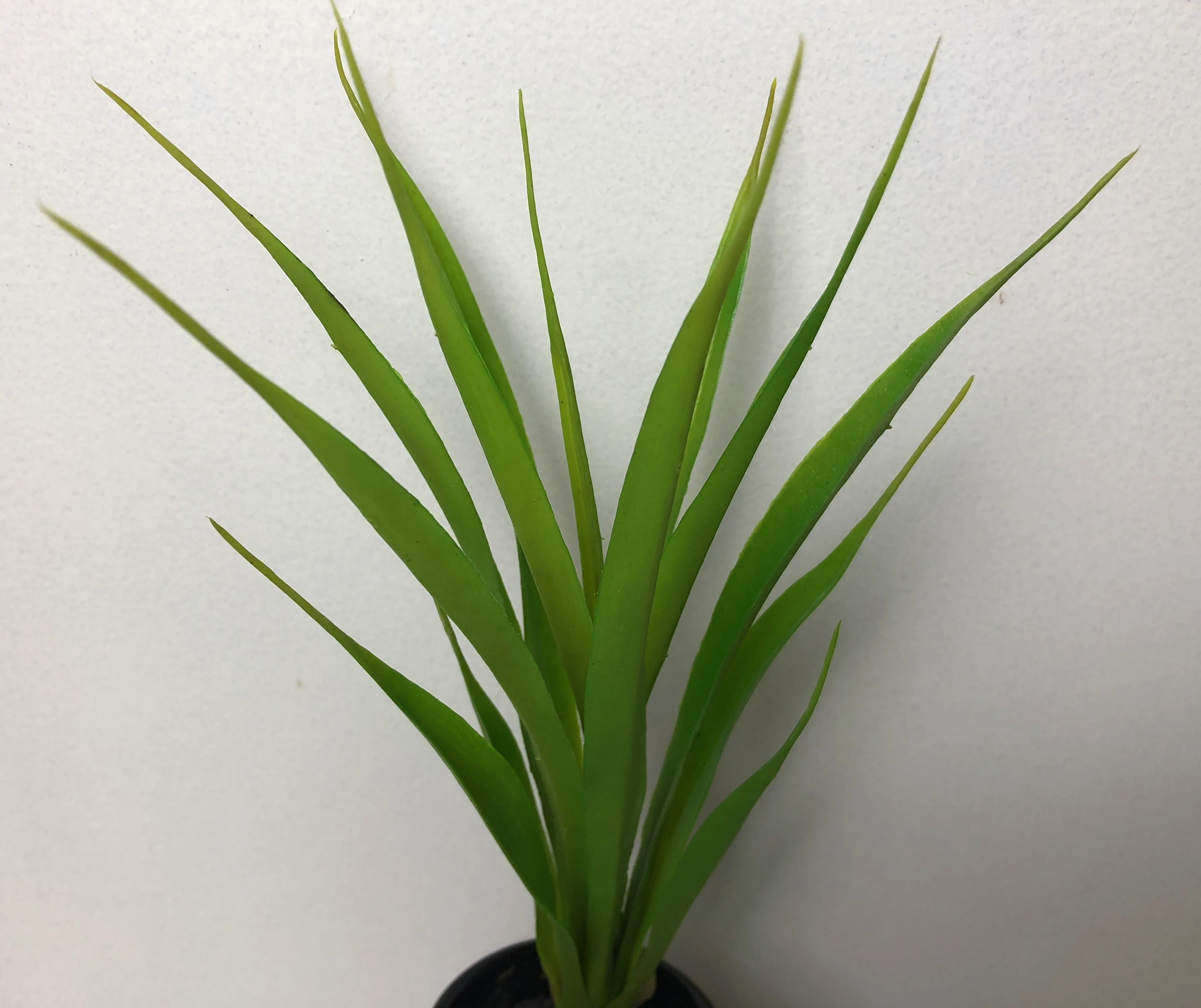 SP0267 Small Orchid Leaves 50cm
