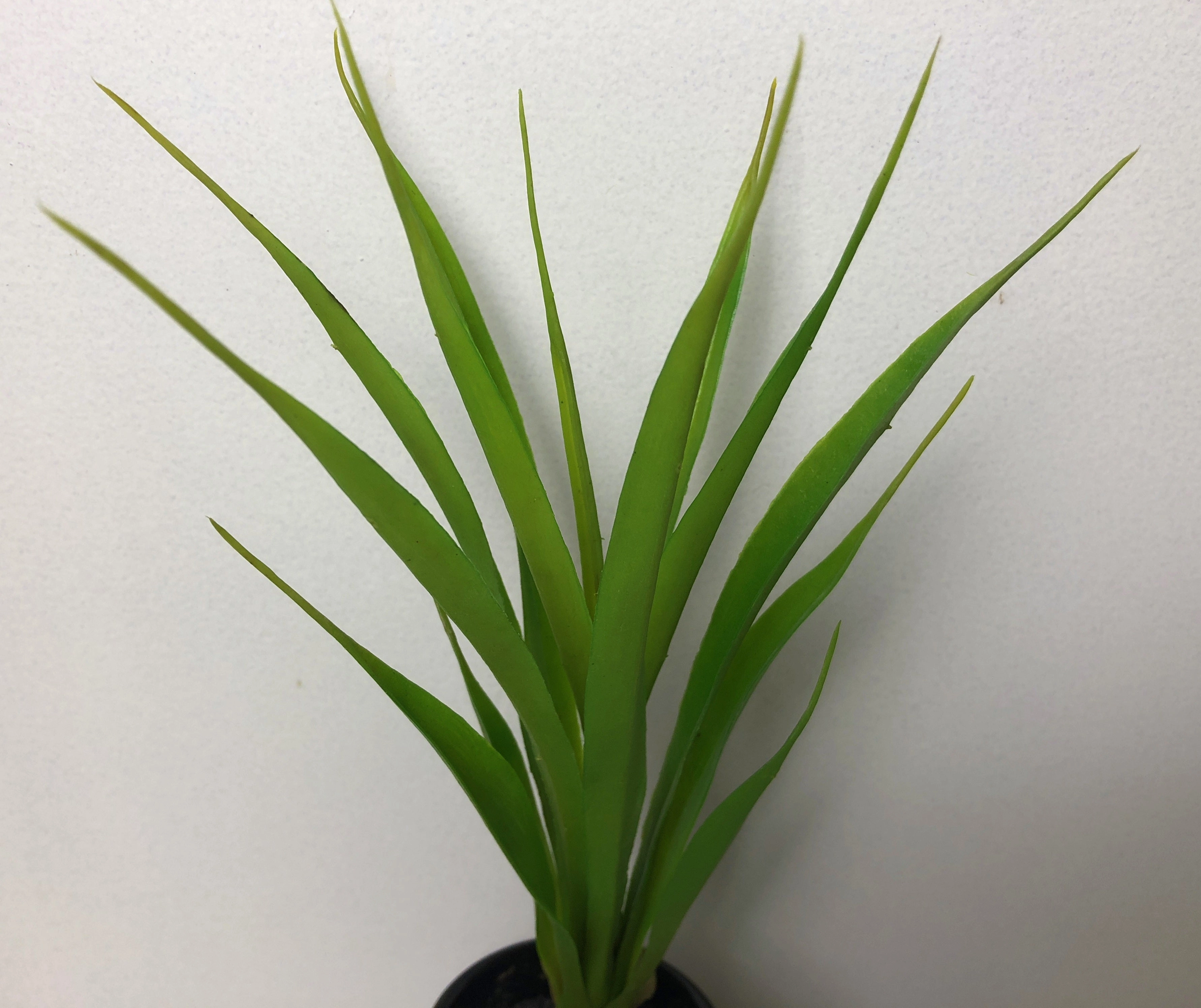 SP0267 Small Orchid Leaves 50cm
