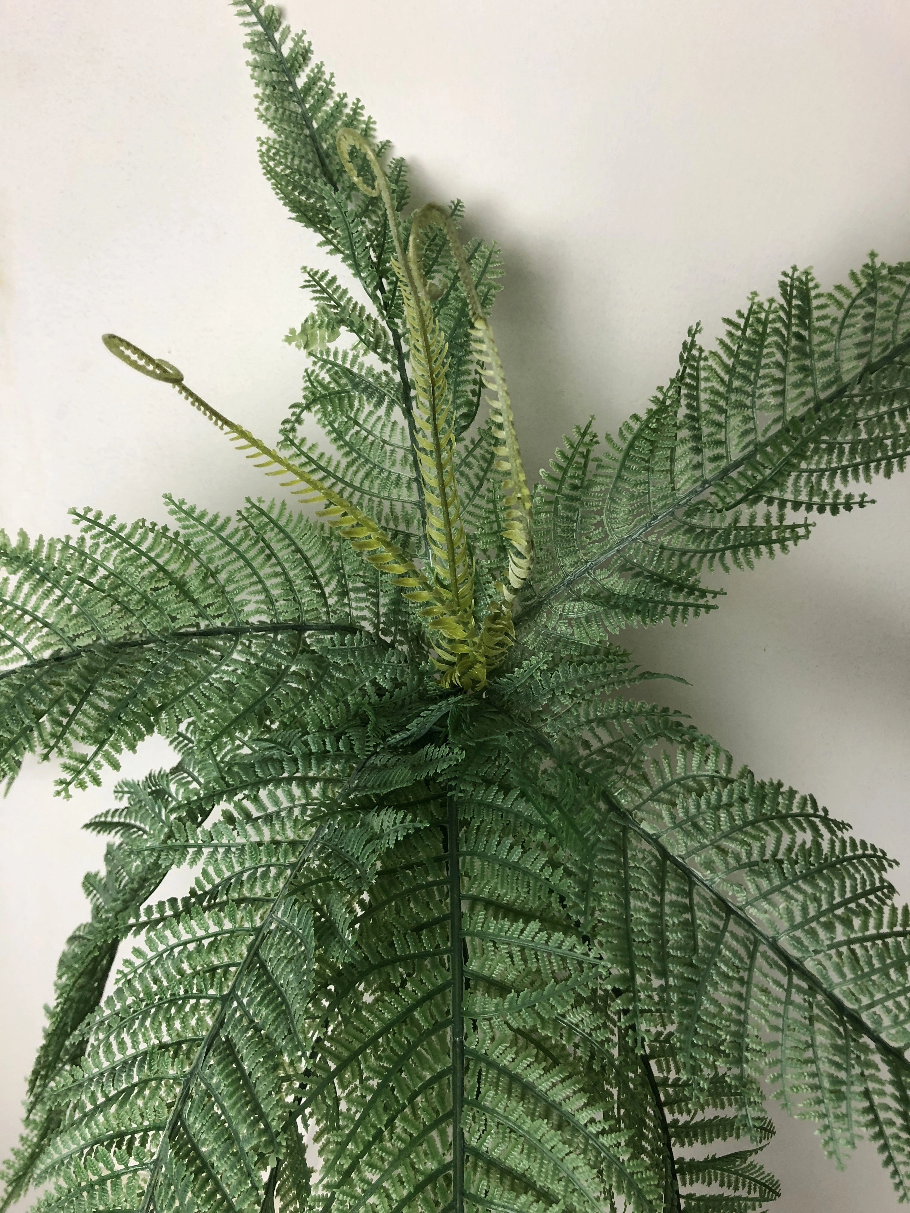 SP0270 Large Fern Bunch 3 styles 60cm
