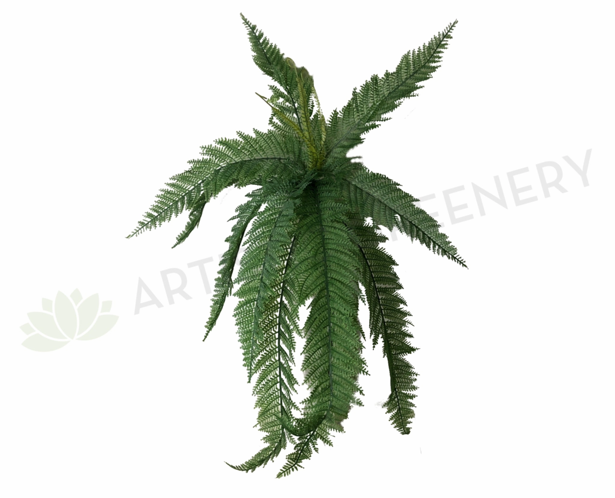 SP0270 Large Fern Bunch 3 styles 60cm xl flower pot  