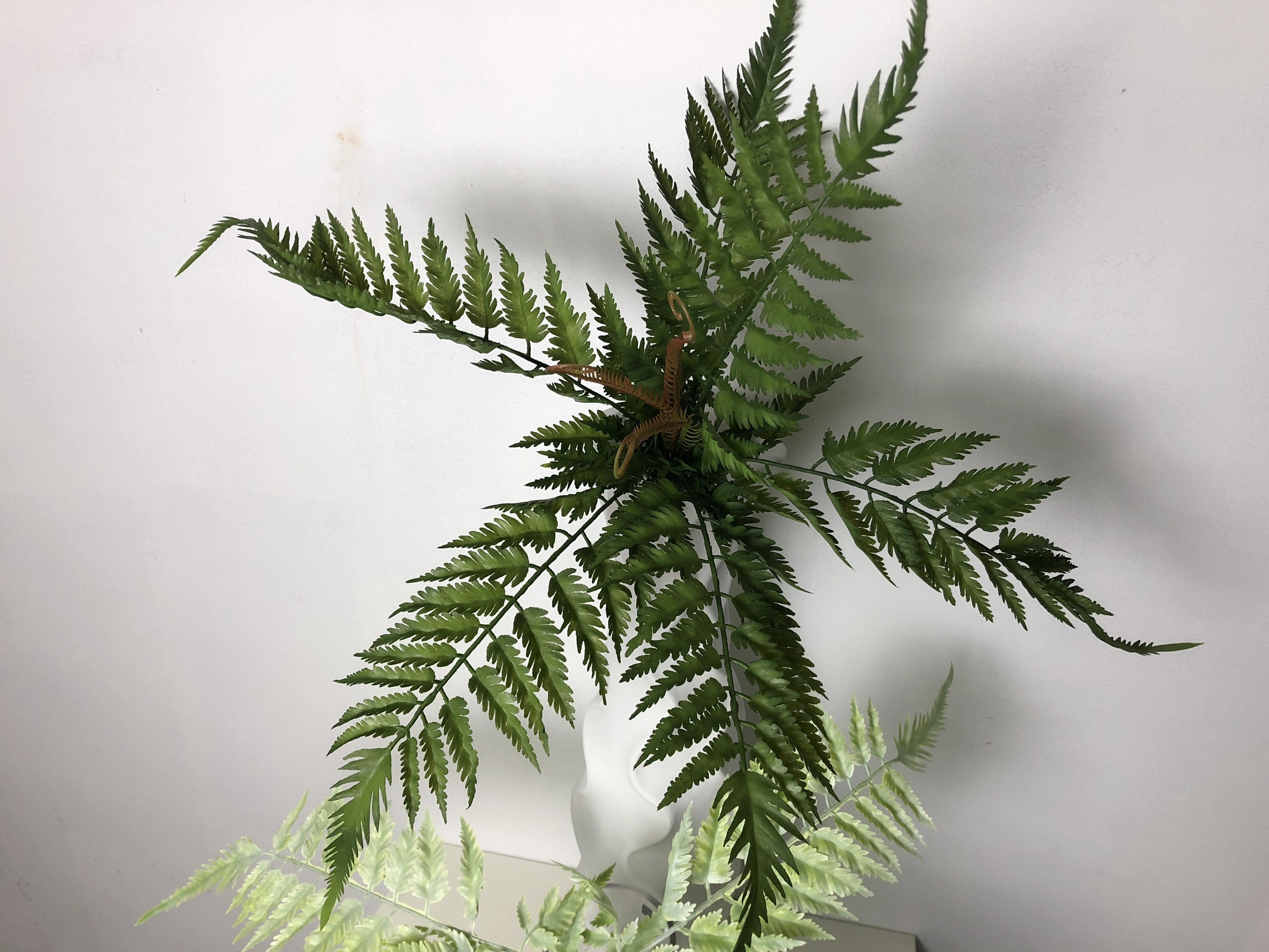 SP0271 Fern Bunch 53cm Green (2 Styles)