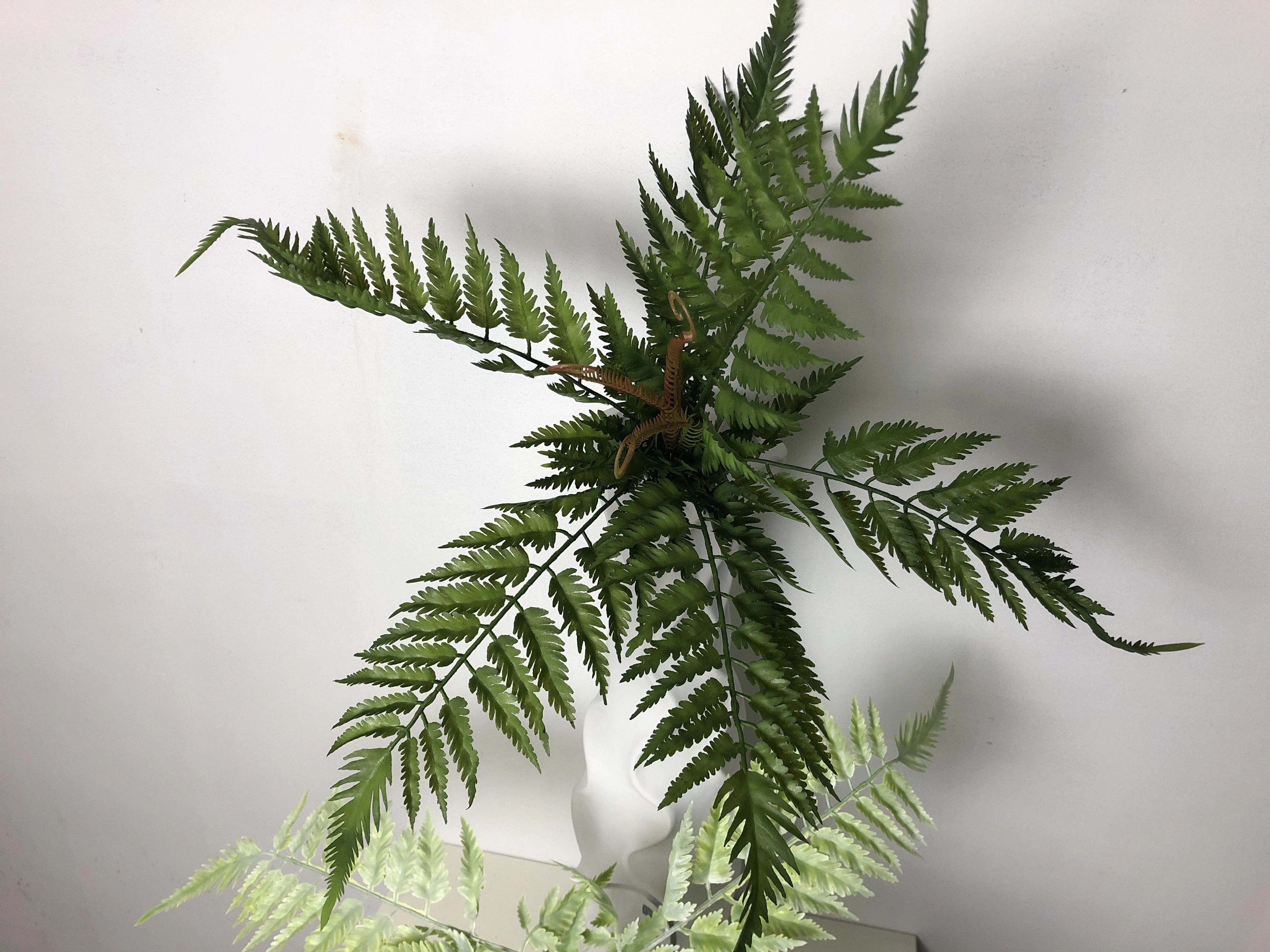 SP0271 Fern Bunch 53cm Green (2 Styles)