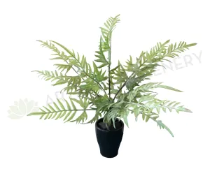 SP0276 Fern Bunch 38cm Green dried green plant  