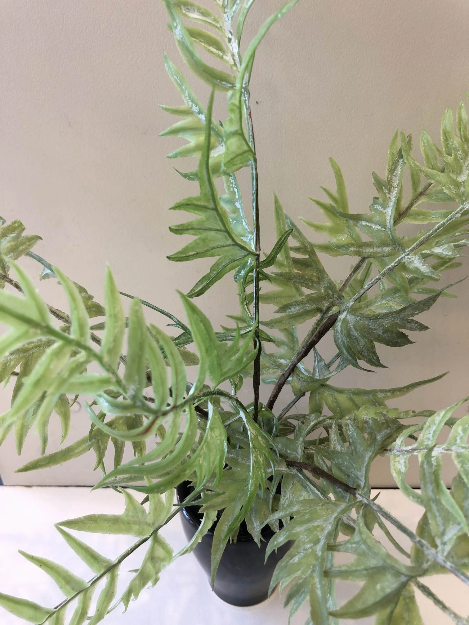 SP0276 Fern Bunch 38cm Green