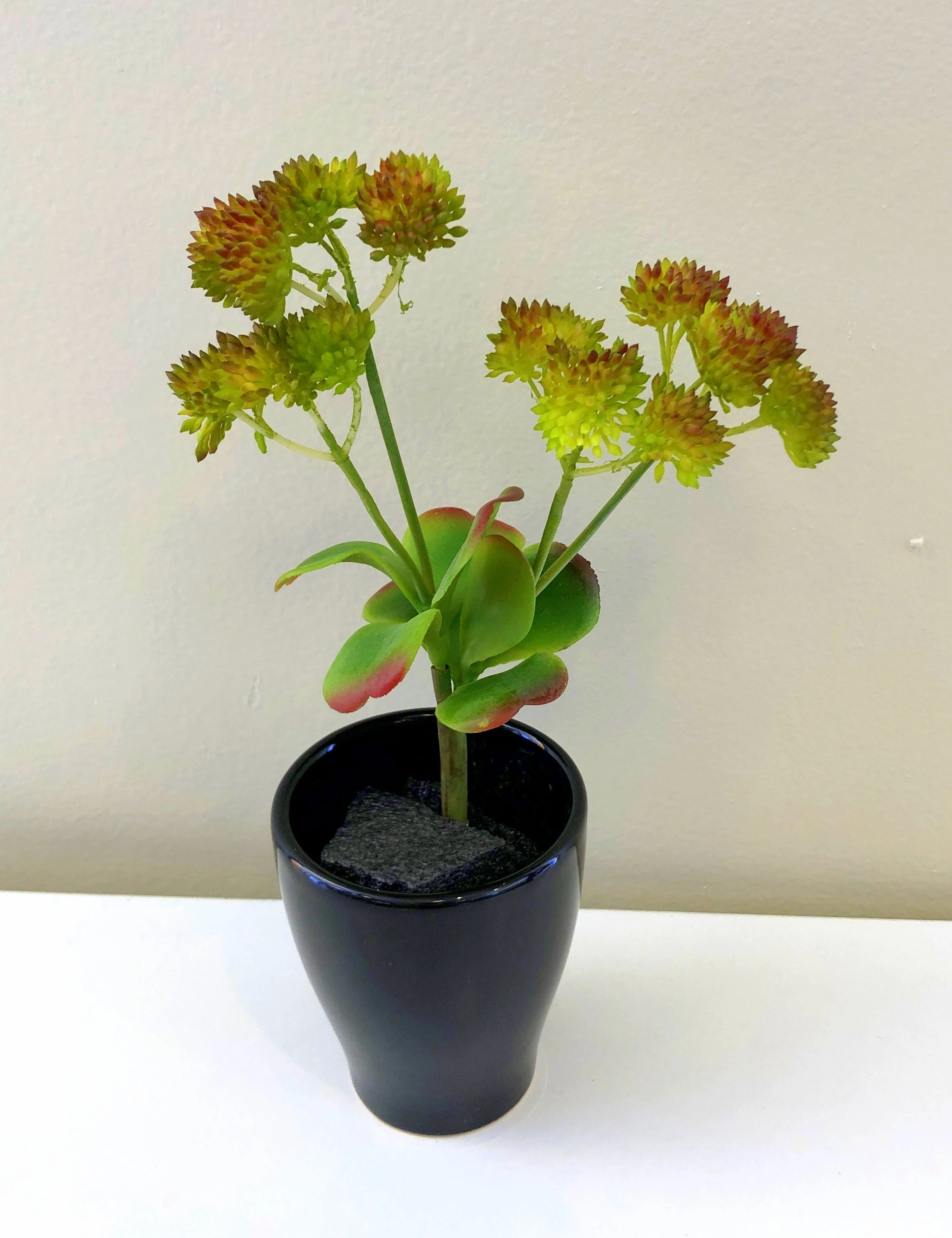 SP0279 Green Sedum with Leaves 23cm