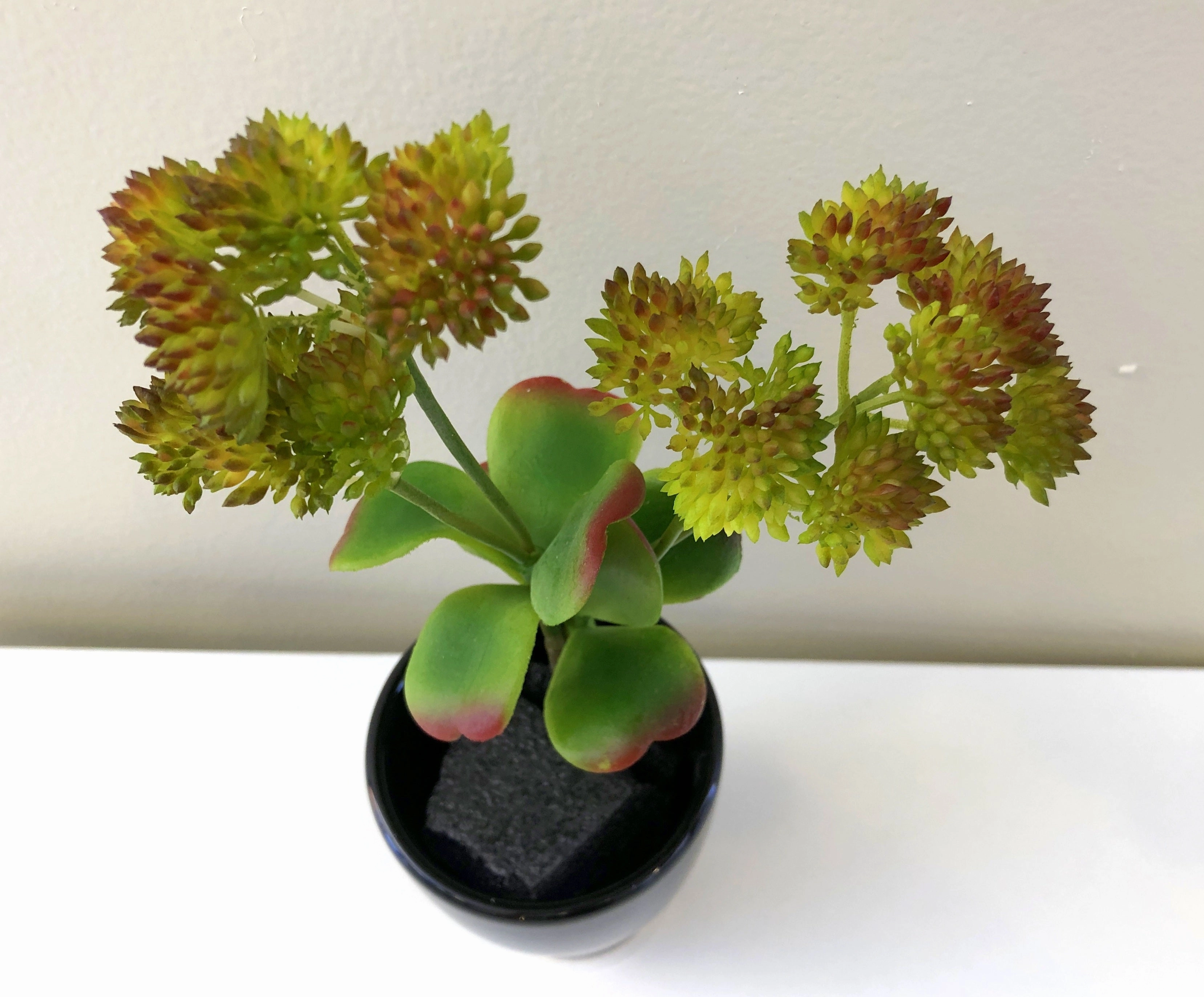 SP0279 Green Sedum with Leaves 23cm