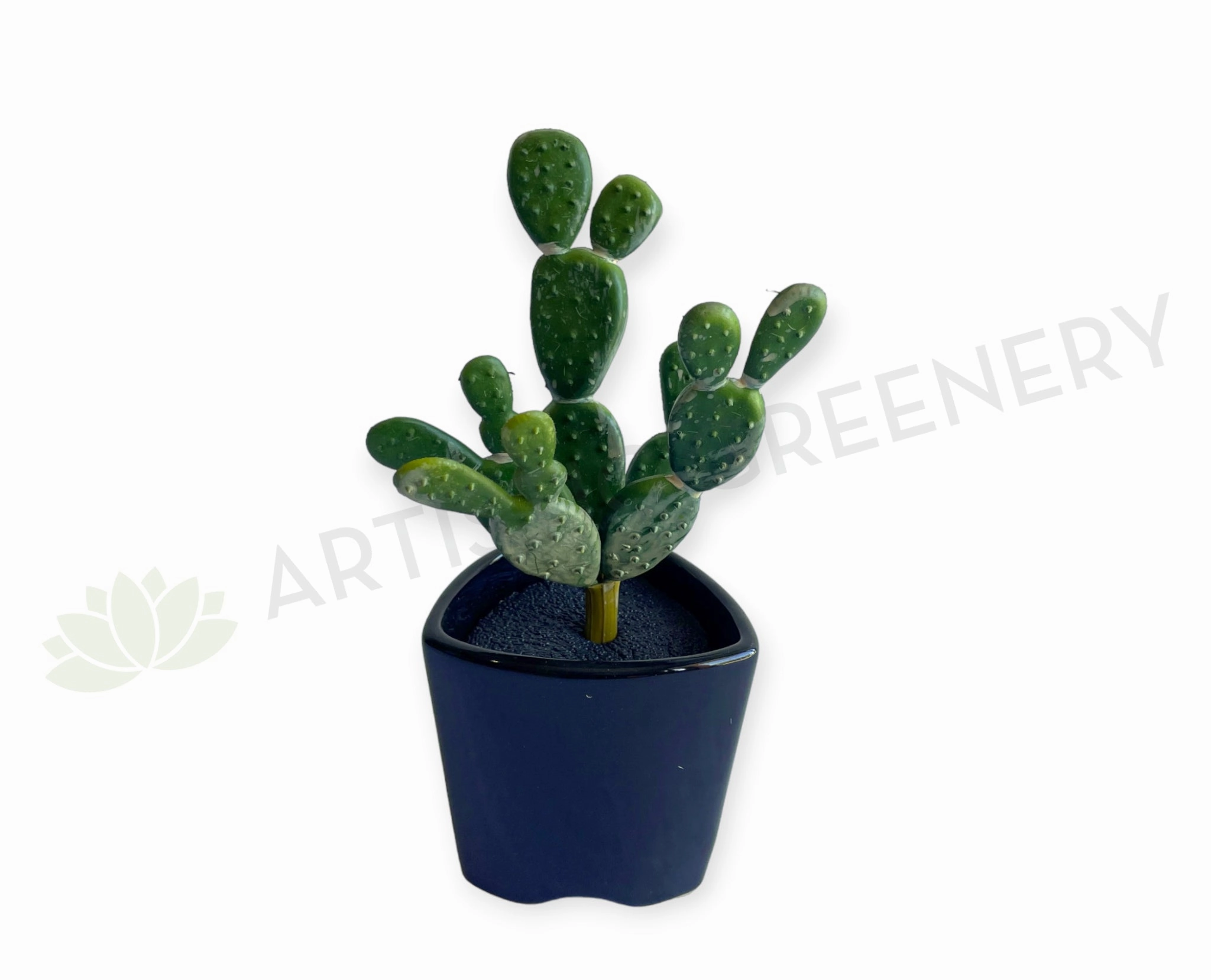 SP0280 Pear Cactus 19cm Green indoor plant stand  
