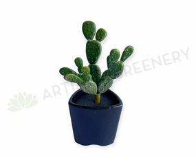 SP0280 Pear Cactus 19cm Green indoor plant stand  