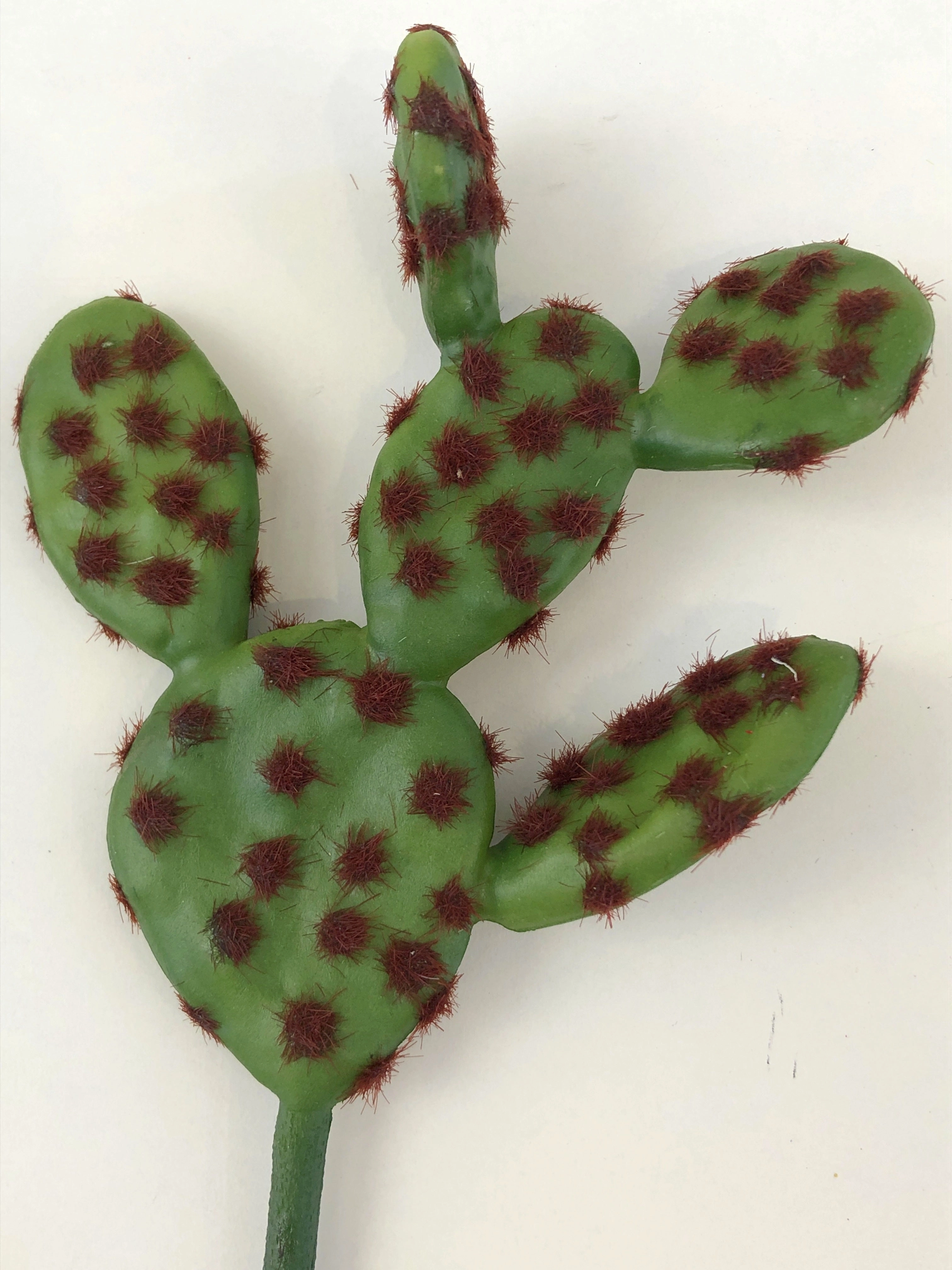 SP0280 Prickly Pear Cactus 22cm 2 Styles