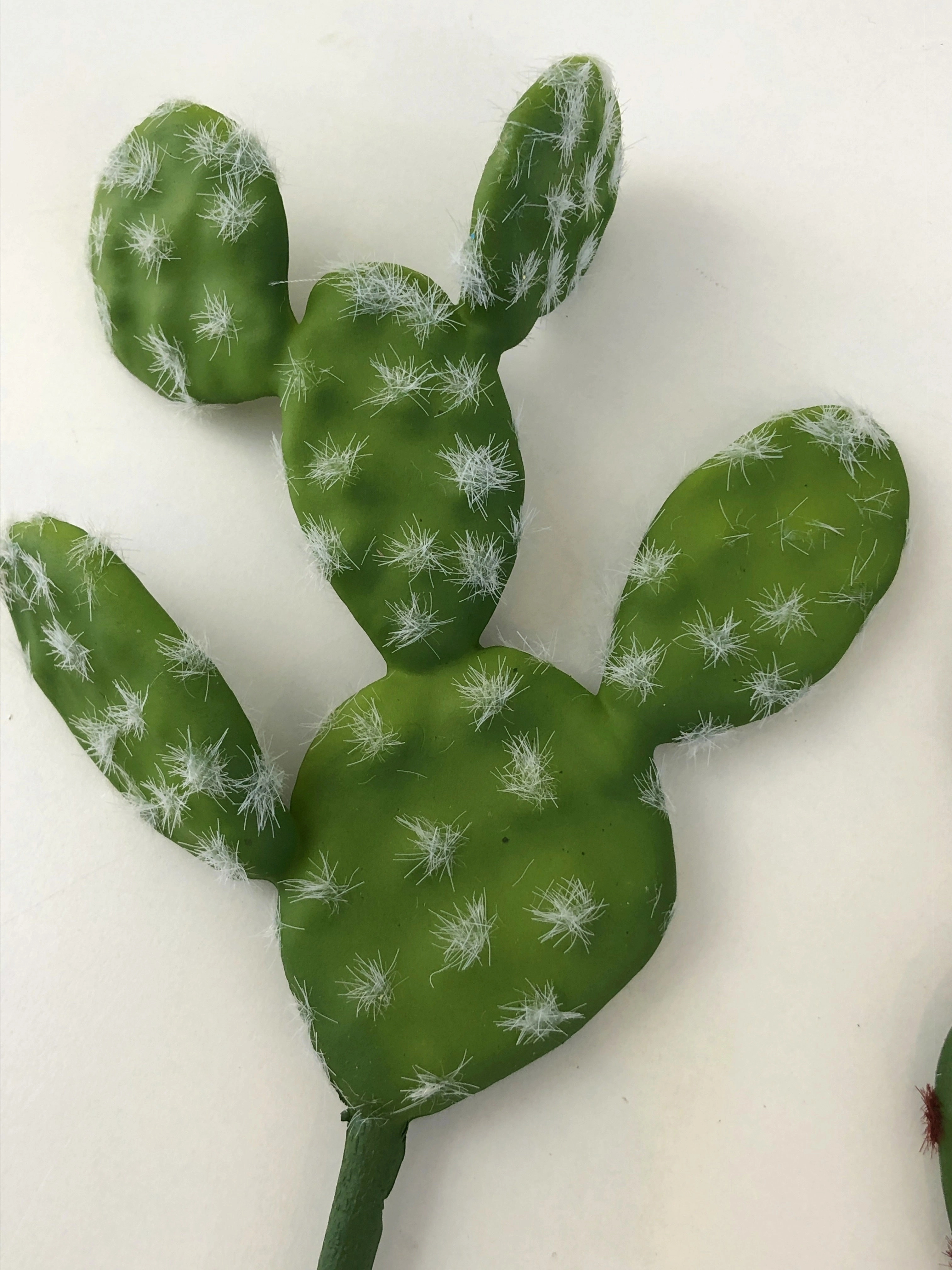 SP0280 Prickly Pear Cactus 22cm 2 Styles